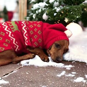 2 Matching Pet Spirit Dog Christmas Sweaters Medium - fits size of small dog